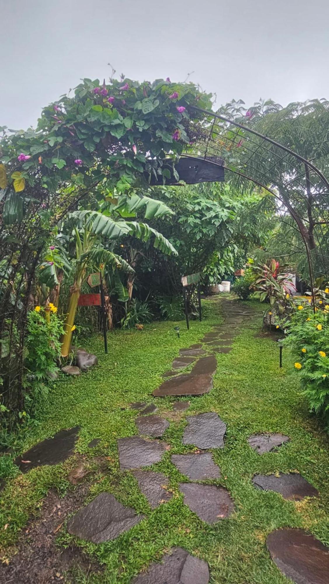 Outbox Inn Monteverde Dış mekan fotoğraf