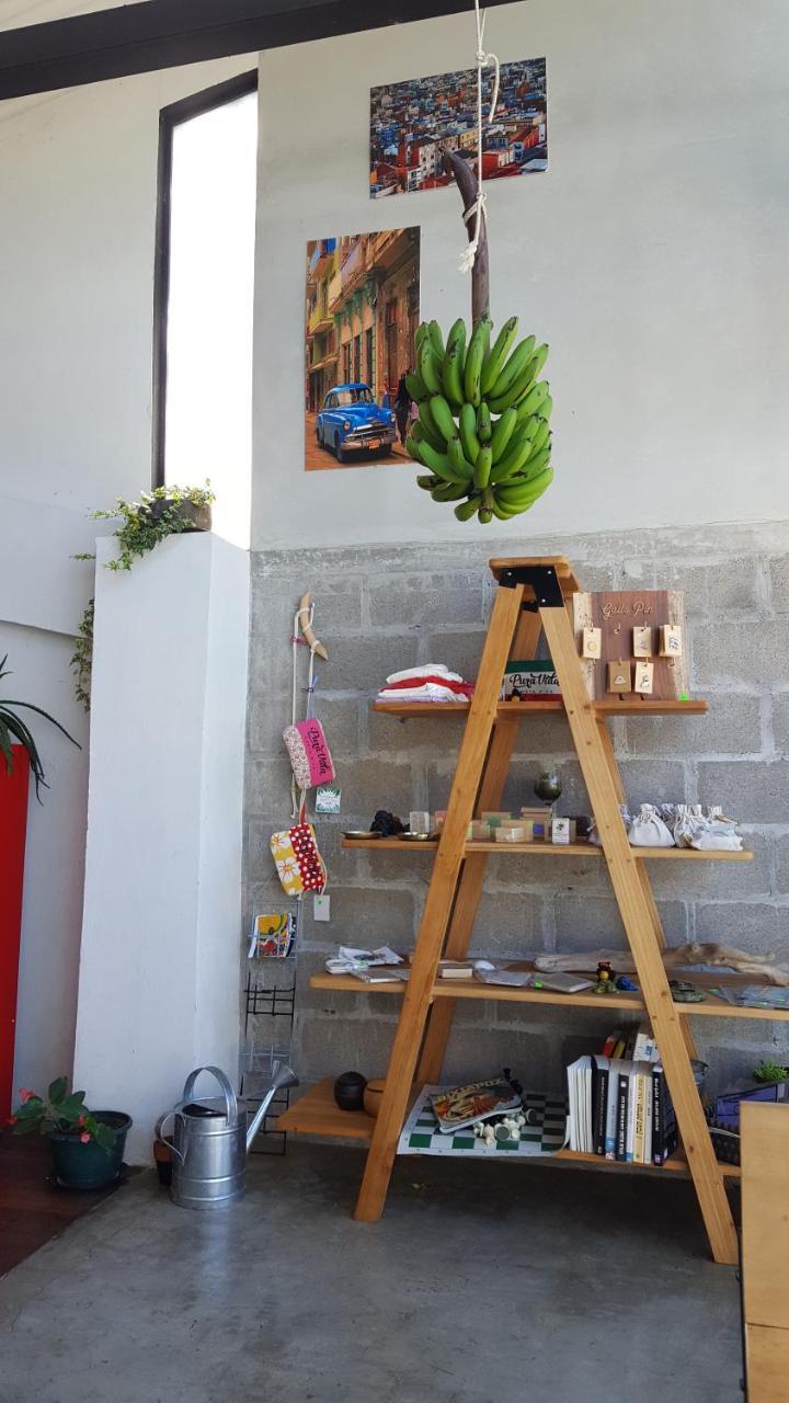 Outbox Inn Monteverde Dış mekan fotoğraf